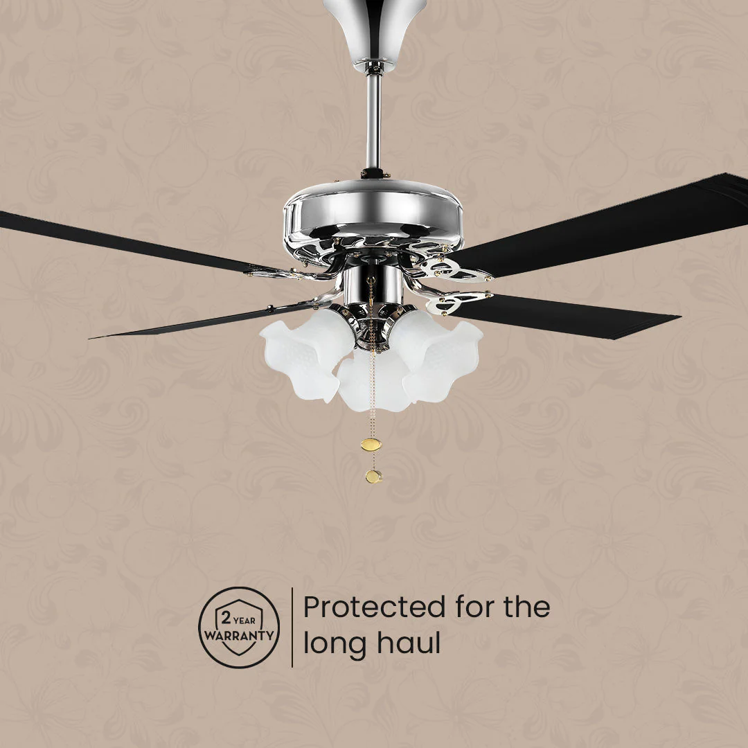 Crompton Luxian Uranus Chandelier Ceiling Fan - Image 14