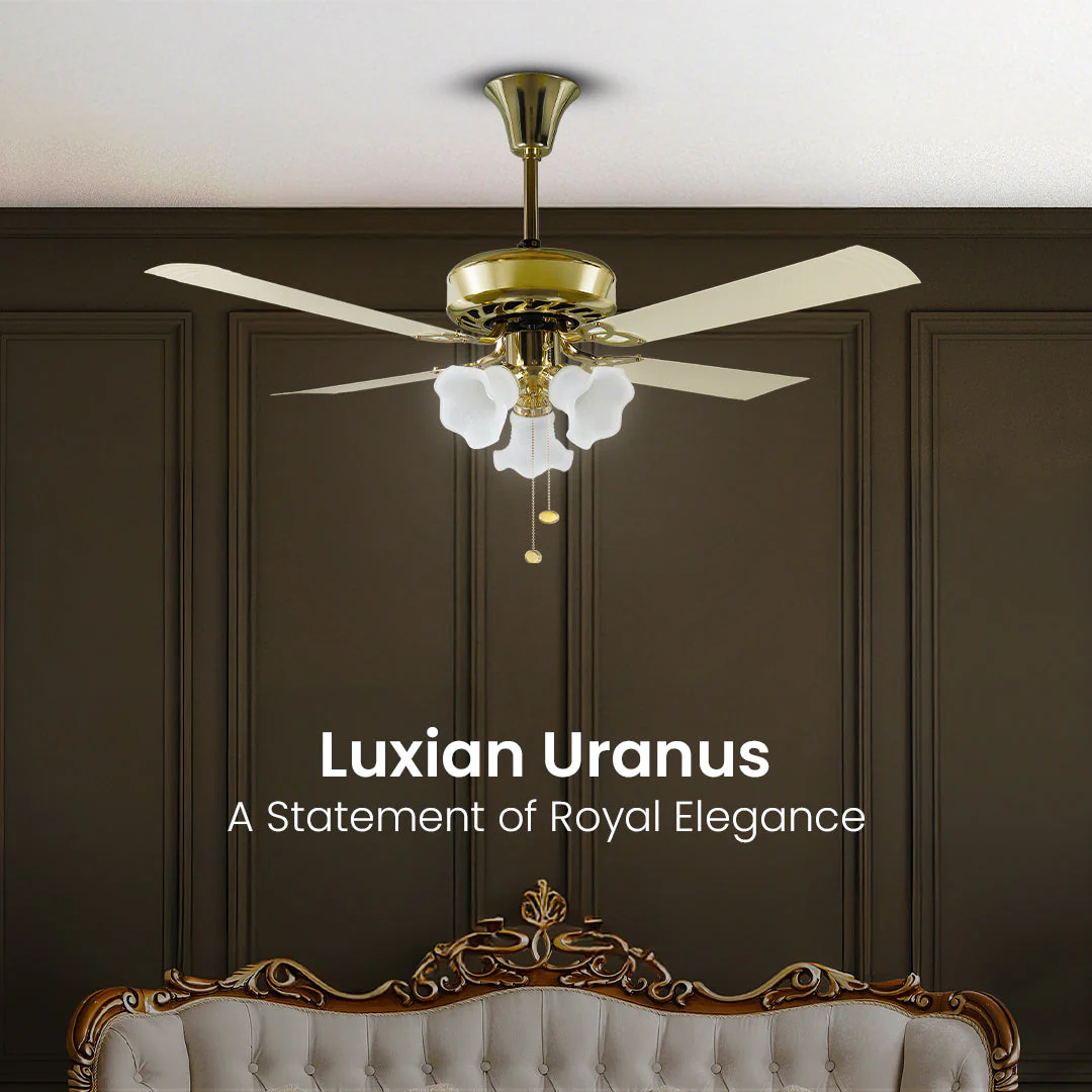 Crompton Luxian Uranus Chandelier Ceiling Fan - Image 2