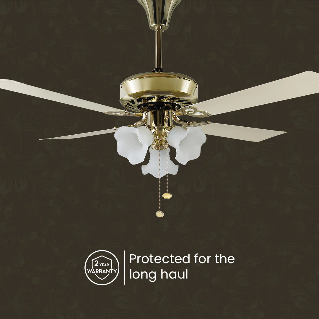Crompton Luxian Uranus Chandelier Ceiling Fan - Image 7