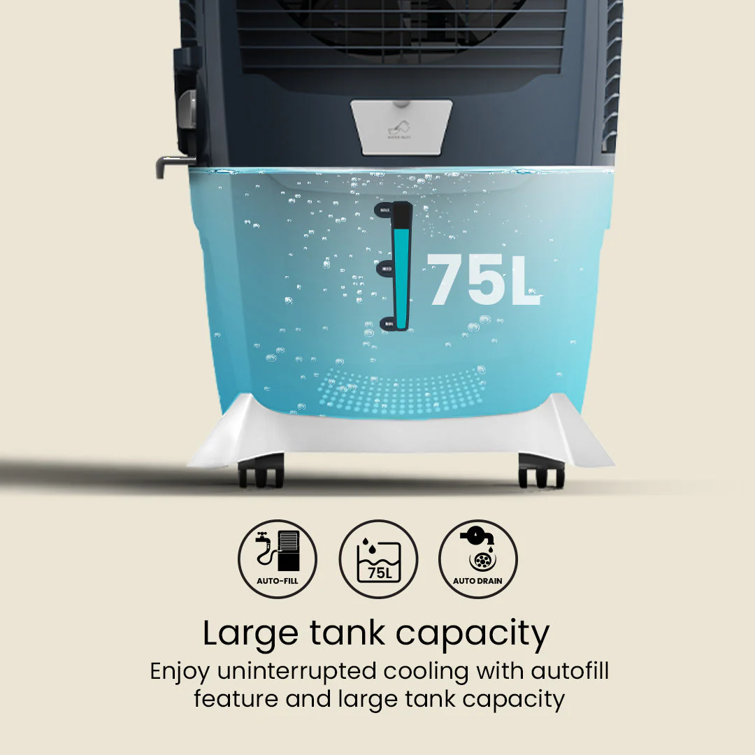 Crompton Ozone Royal - Image 9