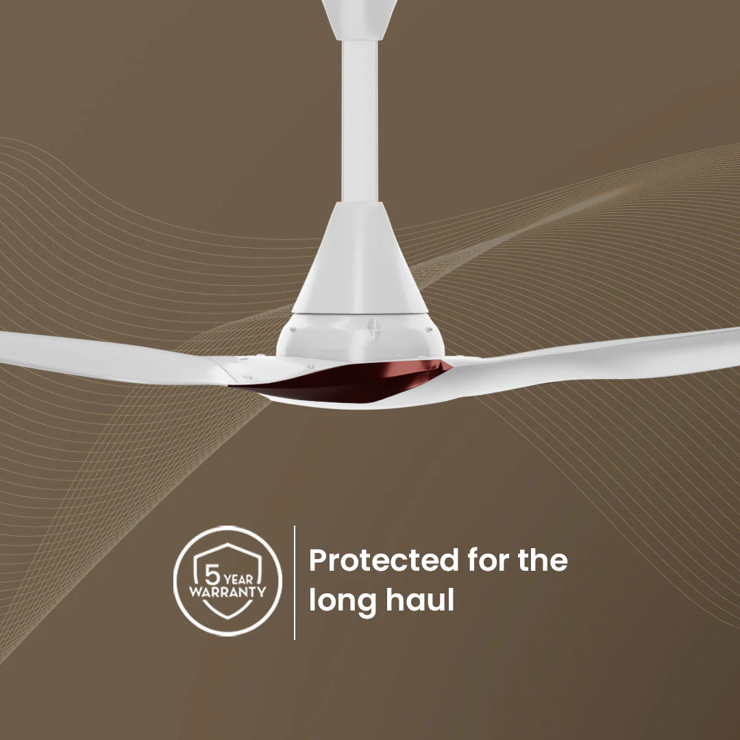 Crompton SilentPro Enso BLDC Ceiling Fans - Image 5