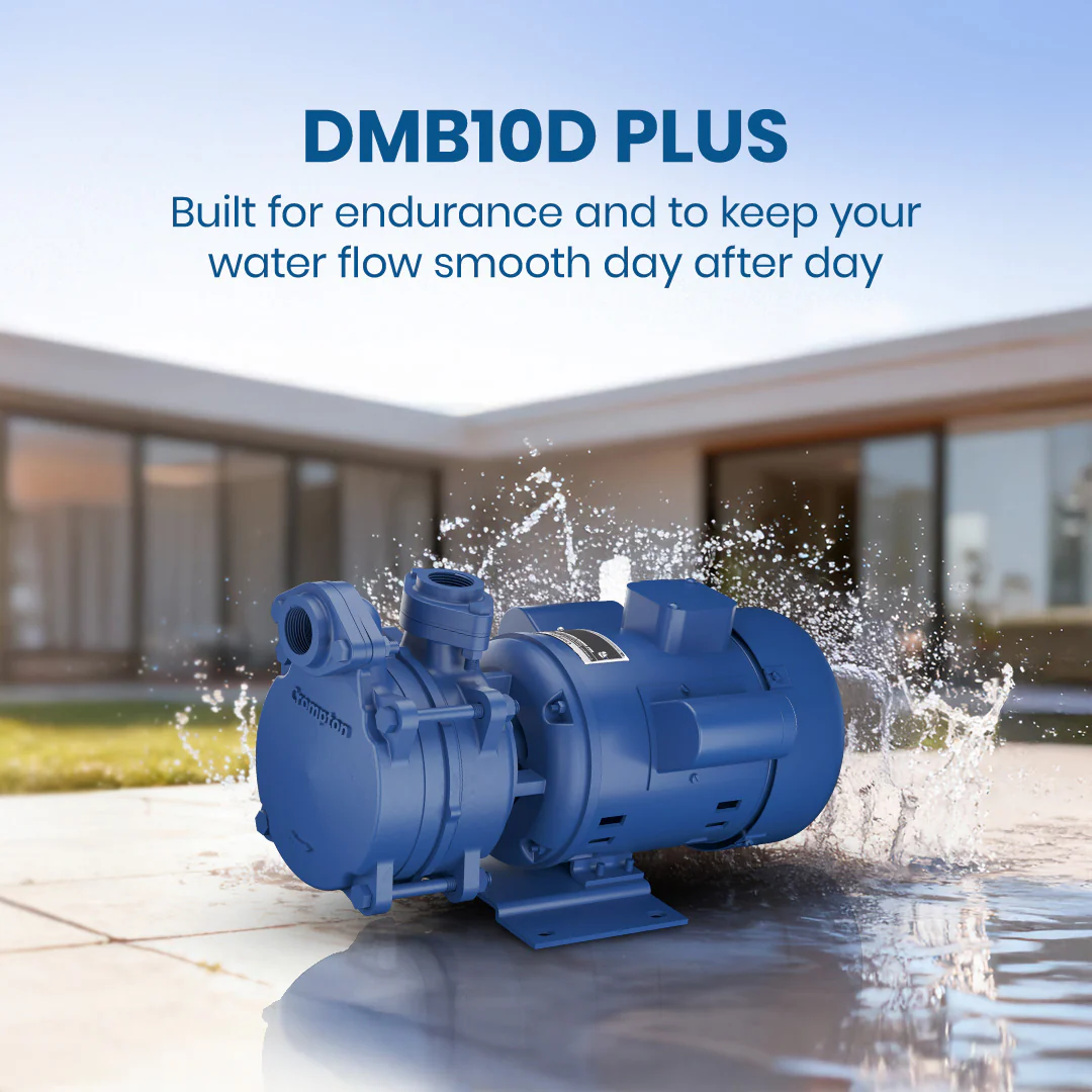 DMB10D PLUS - High Suction Regenerative Pump 1 HP - Image 2