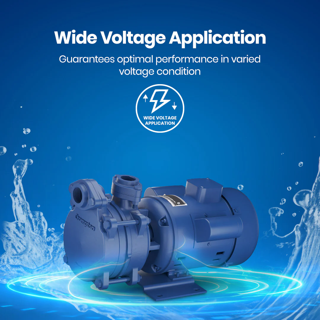 DMB10D PLUS - High Suction Regenerative Pump 1 HP - Image 4