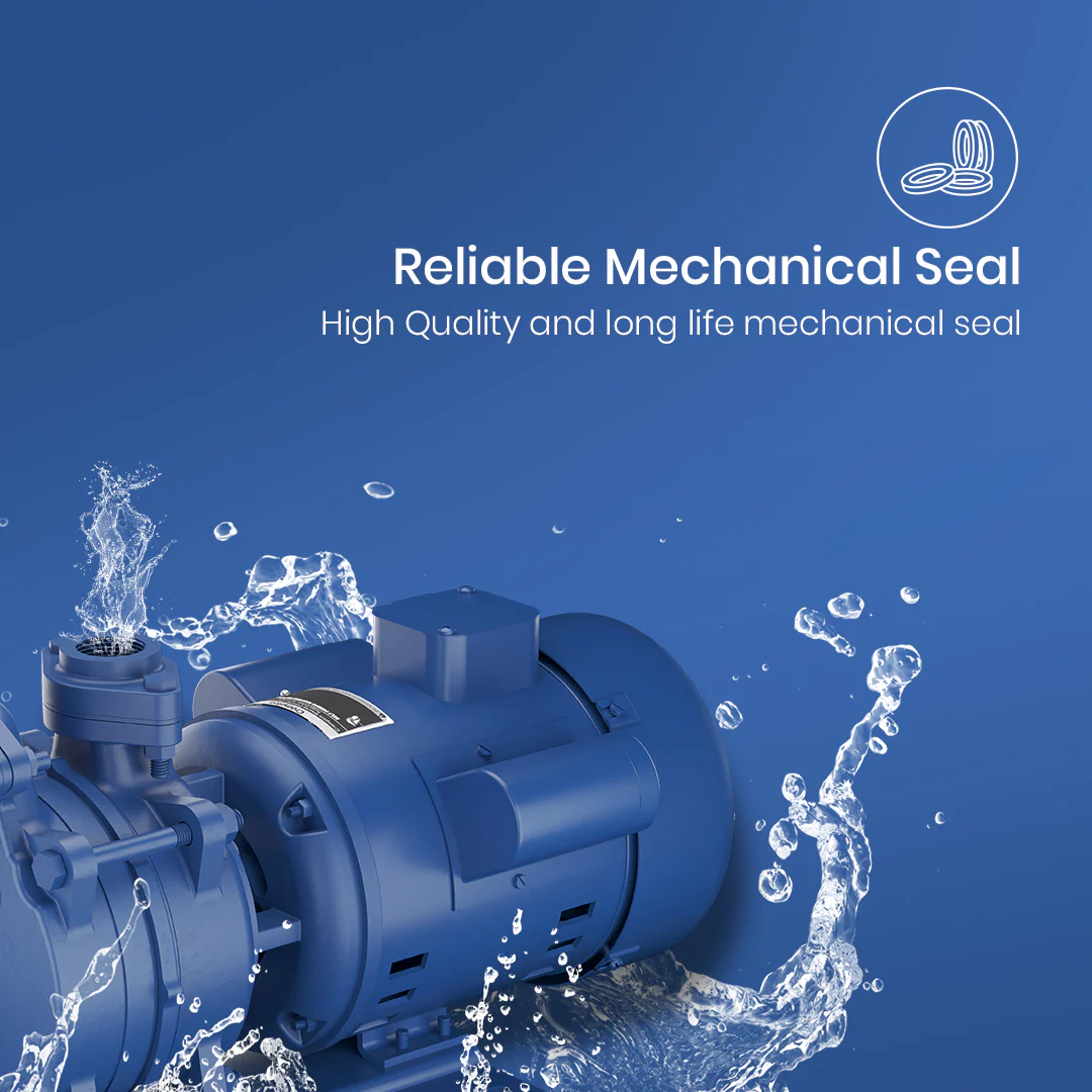 DMB10DCSL - High Suction Regenerative Pump 1 HP - Image 6