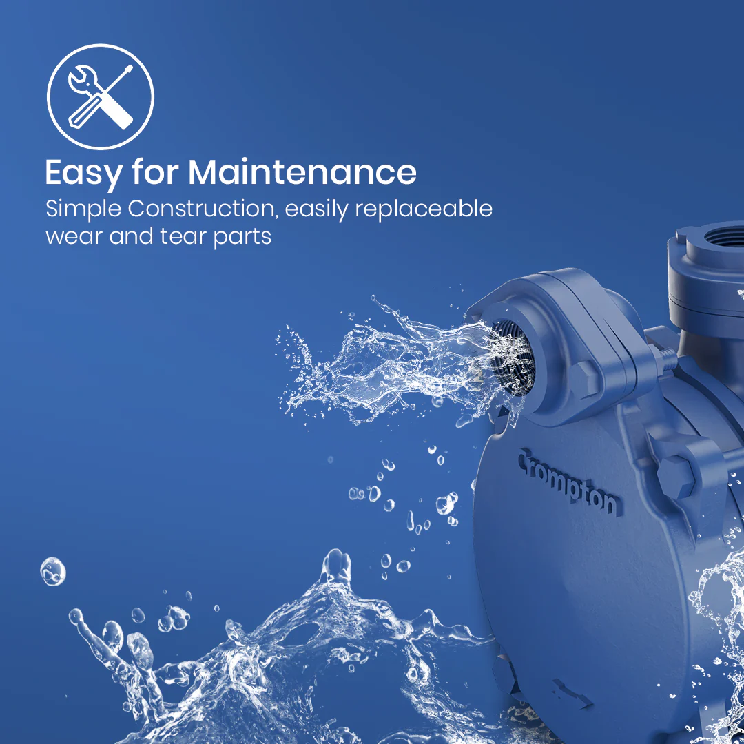 DMB10DCSL - High Suction Regenerative Pump 1 HP - Image 7